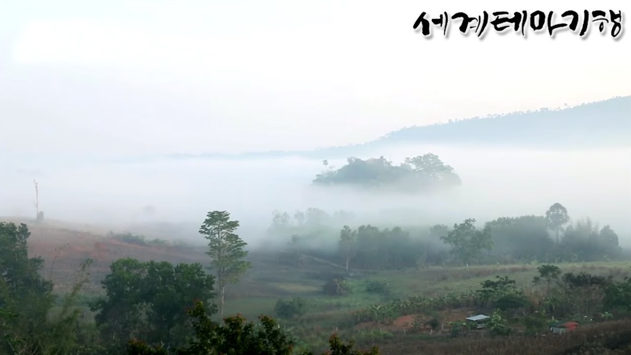 교육방송 반디 세계테마기행 - 세상 멋진 동남아 고원 기행 3부- 잃어버린 시간을 찾아서 볼라벤 고원_#001