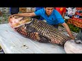 Xẻ Thịt Cá Hô Giá Gần 300 Triệu - 77Kg Tại Hải Sản Biển Đông - 13000$ - Giant Barb Fish Cutting