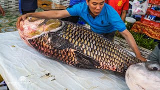 Xẻ Thịt Cá Hô Giá Gần 300 Triệu - 77Kg Tại Hải Sản Biển Đông - 13000$ - Giant Barb Fish Cutting