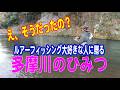 そうだったのか？多摩川のルアーフィッシング