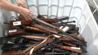 Greens back federal gun reforms ahead of parliamentary return