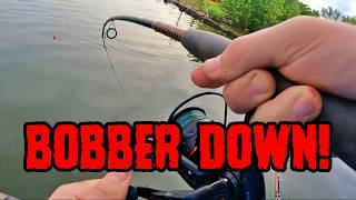 This Channel is a Catfish HIGHWAY!
