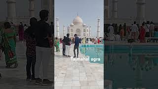 Agra tajmahal❤️ #reels #trend #viral