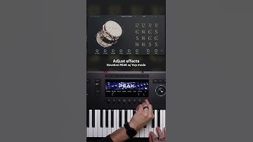 Kontrol S-Series MK3 Arp mode | Native Instruments
