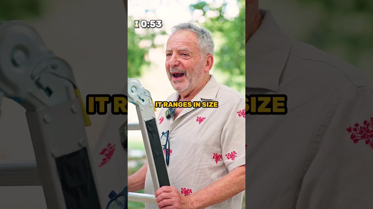 Our OLDEST ever guest with a crazy job 🤯 Ep. 663 🪜