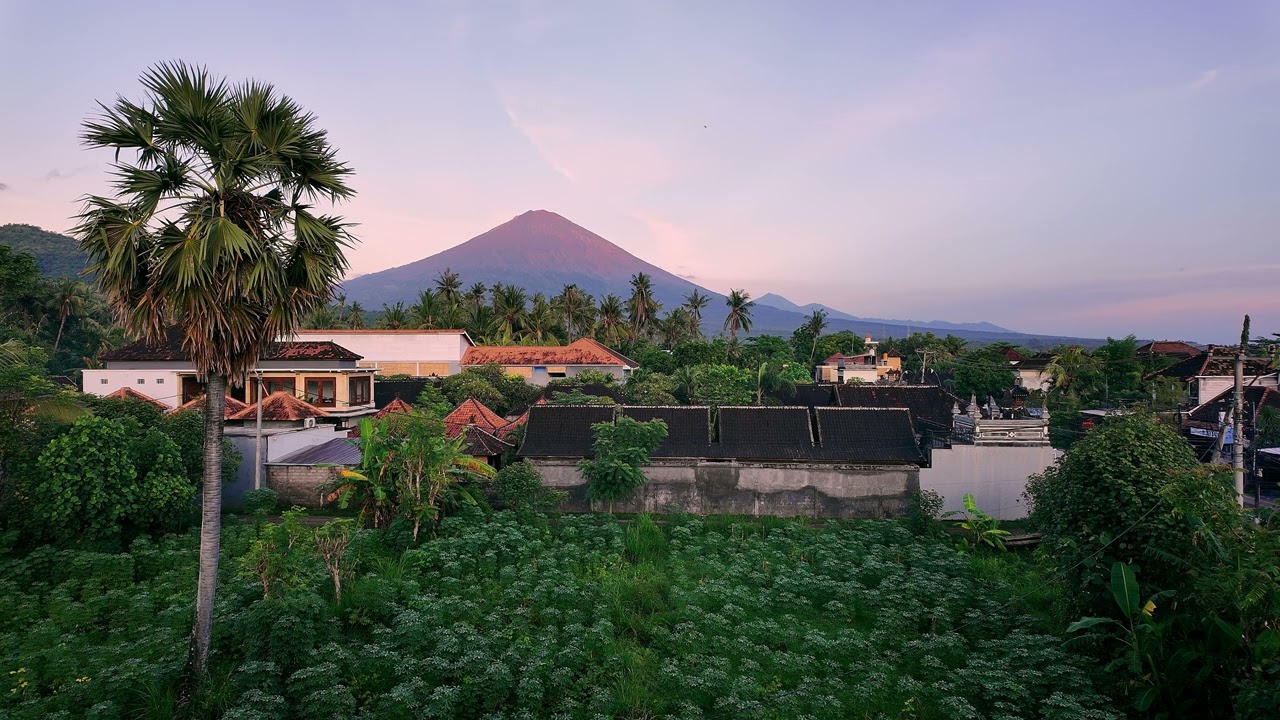 Tropical Village Morning – Peaceful Nature Sounds with Birds, Roosters & Sunrise Ambience