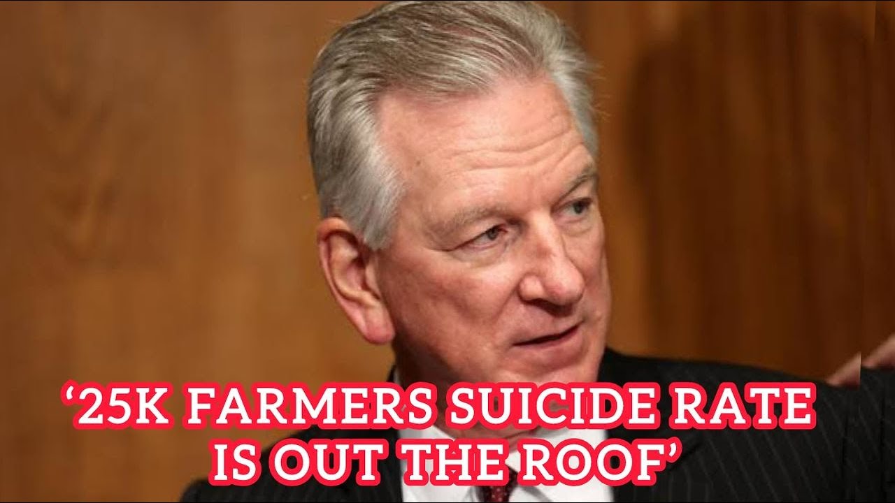 Как американские фермеры переживают кризис: рост самоубийств, долги и борьба за выживание