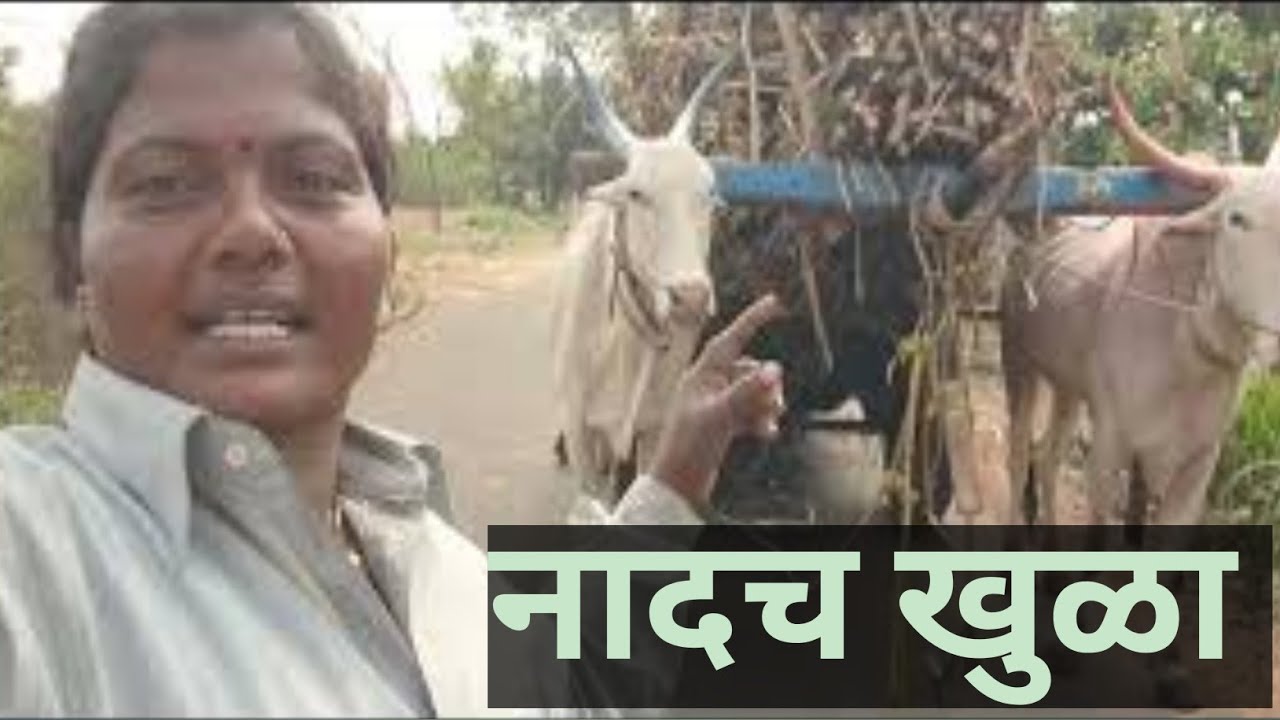 तीन-चार टन घेऊन रस्त्यानी खन खन चालतो आपला बैल 🤔😵‍💫🥰