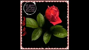 نبأ عبادي أني أنا الغفور الرحيم _أرح قلبك بذكر الله 💜🥀آيات قران حالات واتس اب قرانيه