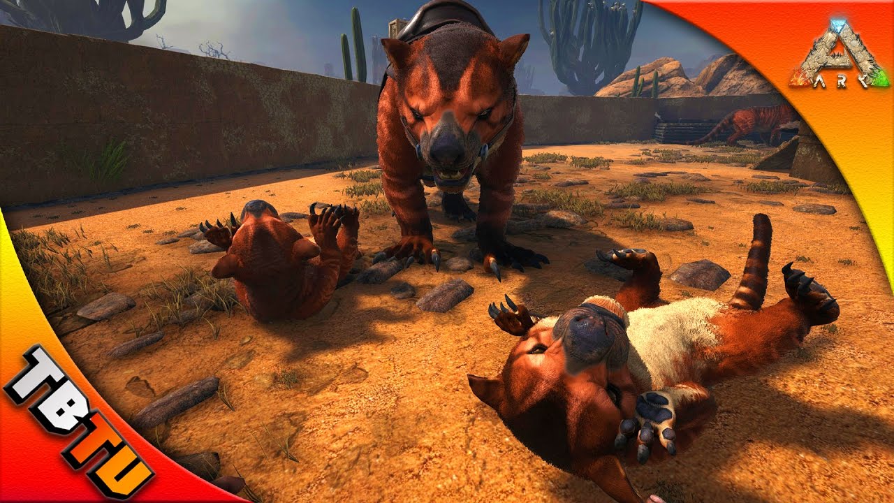 THYLACOLEO TAMING! THYLACOLEO BREEDING AND IMPRINTING! Ark Scorched ...