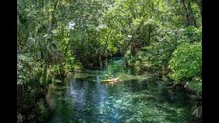 Kayaking Silver River, Florida - cypress swamp springs and manatees