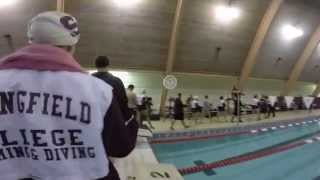 Springfield College Swimming and Diving 2014 2015