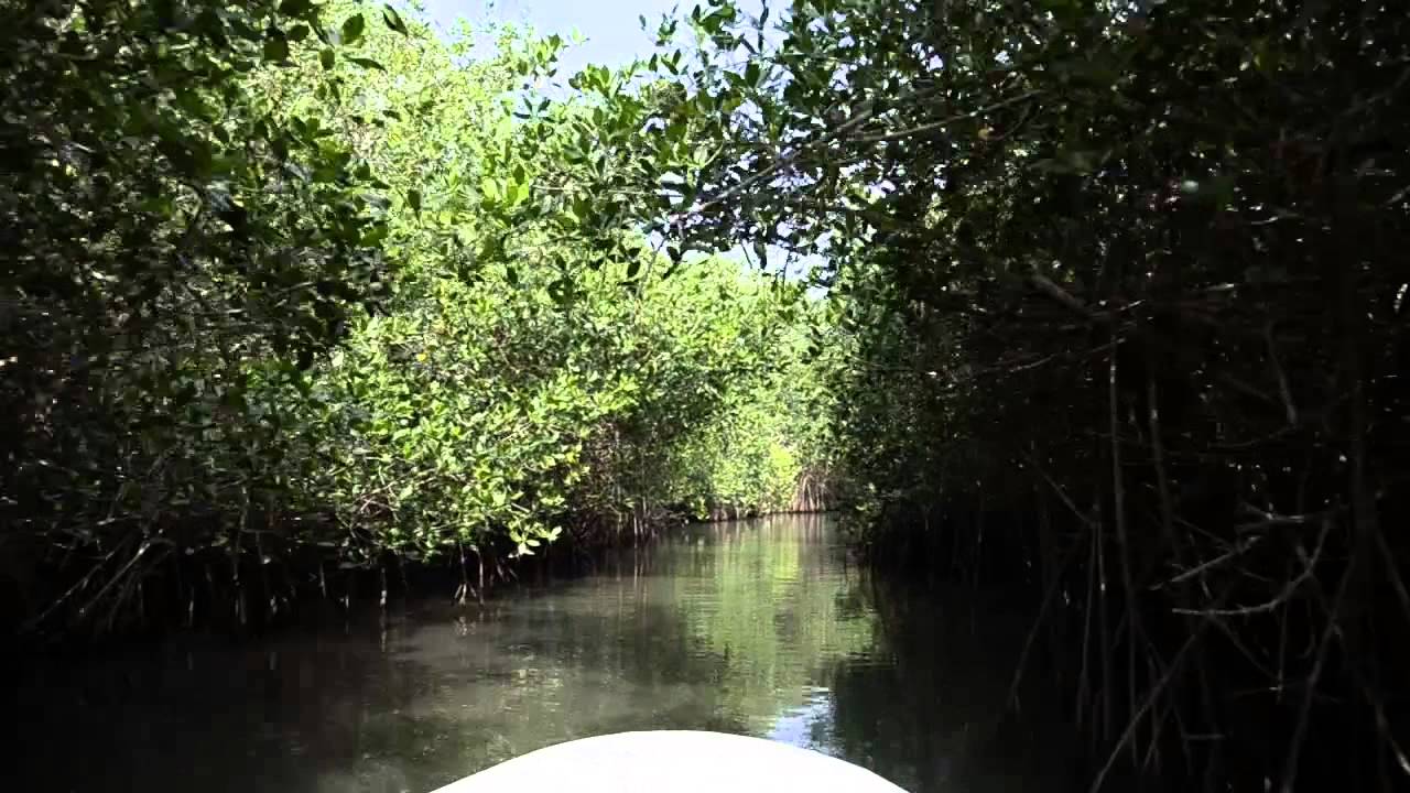 Hotel Bluebay  Los Ángeles Locos