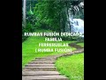 RADIO FLAMENCO CHORRILLA...a los ferres( RUMBA FUSION)#musica #rumba #salsa #music #dance #techno