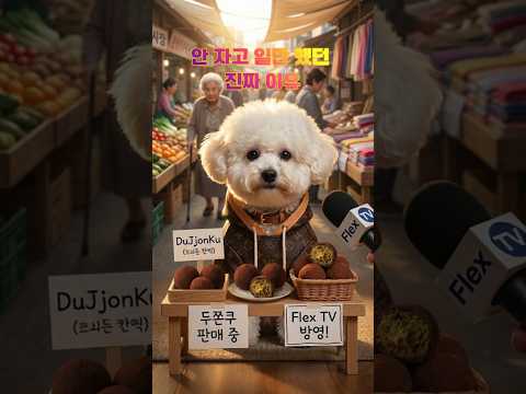 잠도 안 자고 일만 했던 진짜 이유 #shorts #강아지 #감동 #효도 #반려견 #눈물주의 #공감