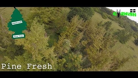 Pine Fresh - How to cut down trees with a drone