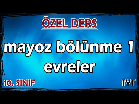 5) Mayoz Bölünme 1 - Evreler - Özel Ders (10. Sınıf)