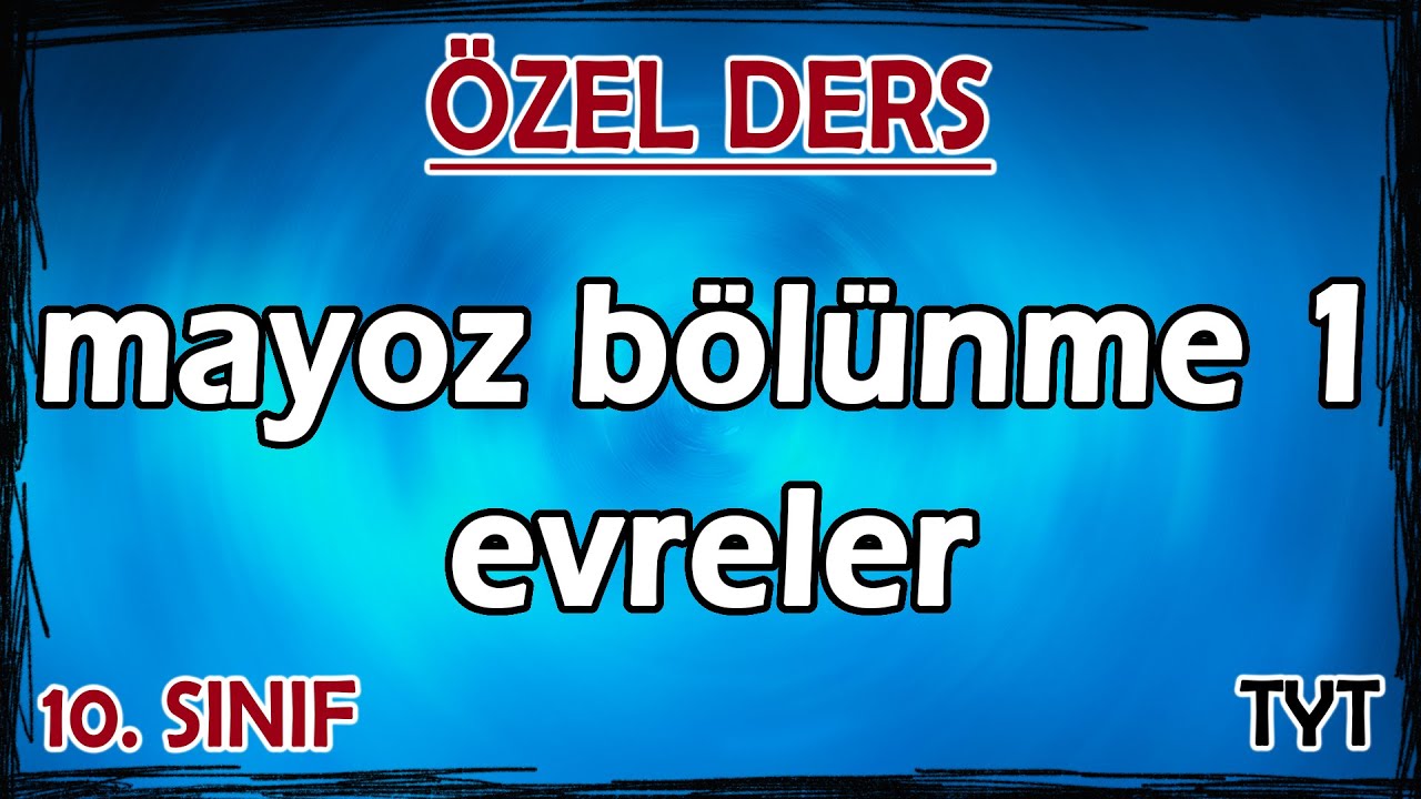 mayoz bolunme selinhoca