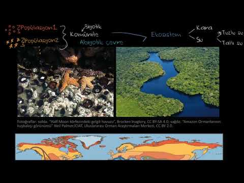 Ekosistemler ve Biyomlar (Fen Bilimleri) (Biyoloji)