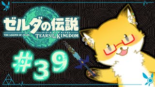 #39【ゼルダの伝説　ティアーズ オブ ザ キングダム】そろそろ最終決戦行っちゃう！？【ちゅうけんぽちこう】