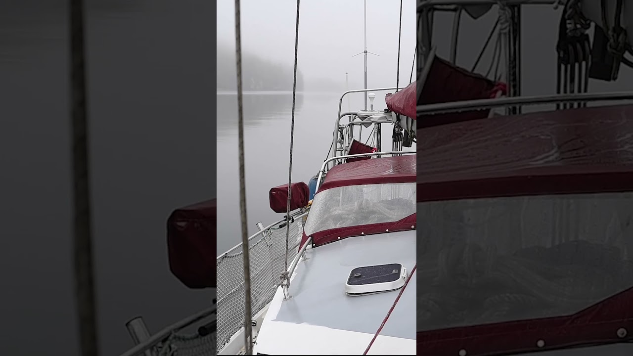 A foggy morning on the water