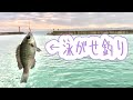 漁港の小魚をエサにして大物を釣る