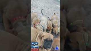 VID-20201224-WA0055