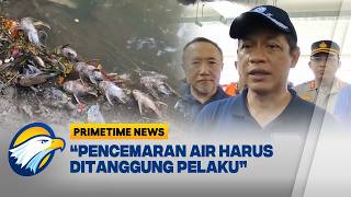 Download Lagu Kali Cisadane Tercemar, KLH Usut Dugaan Pidana - [Primetime News] MP3