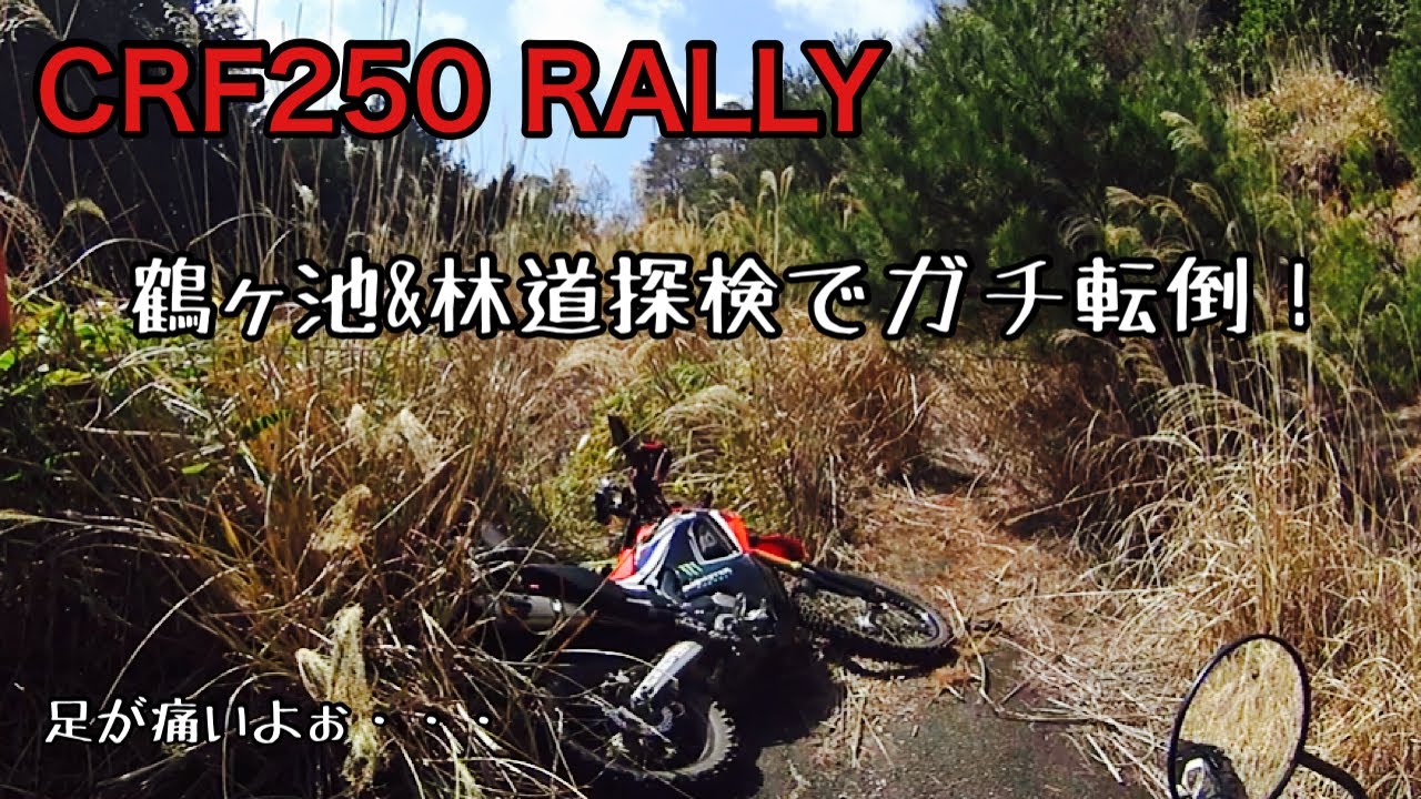 Crf250rally 鶴ヶ池 林道探検でガチ転倒 Youtube
