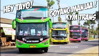 Lucu Bergoyang Kanan Kiri Tayo 5 Unit Bus Kym Trans Hello Kitty