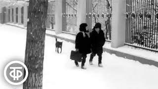 Зимним днем в Иркутске. Видовой фильм (1973)