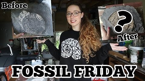 Prepping A Huge Ammonite Fossil Still With Its Original Shell Intact - FOSSIL FRIDAY ⛏️