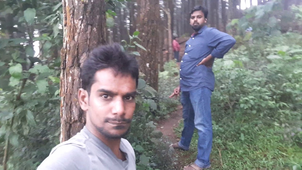 Vagamon forest