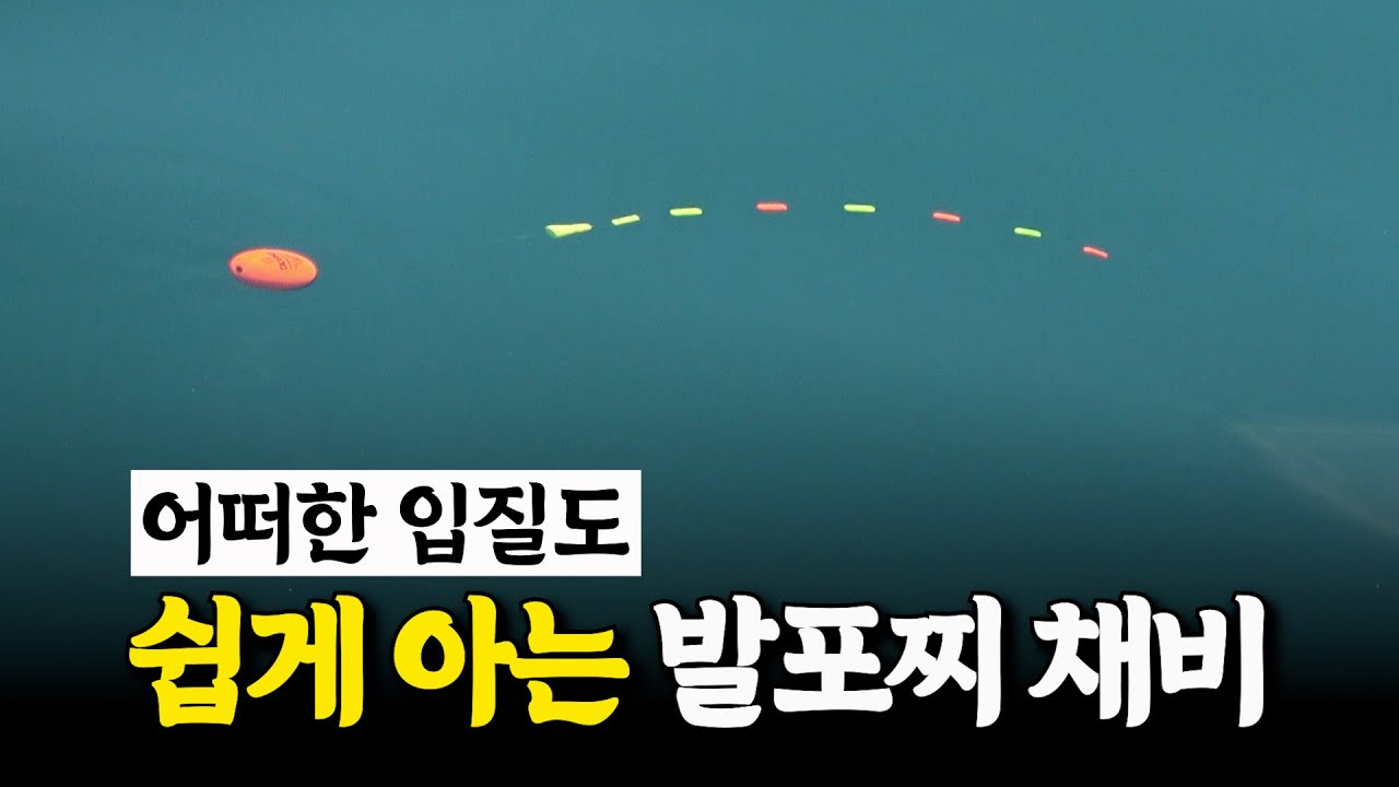 오늘 영상은 벵에돔 낚시 그리고 저를 좋아하는 사람만 보세요!! [박과장TV]