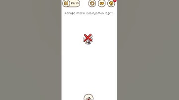 BRAIN FIND ANSWER KEY LEVEL 153 -  why are there still mosquitoes