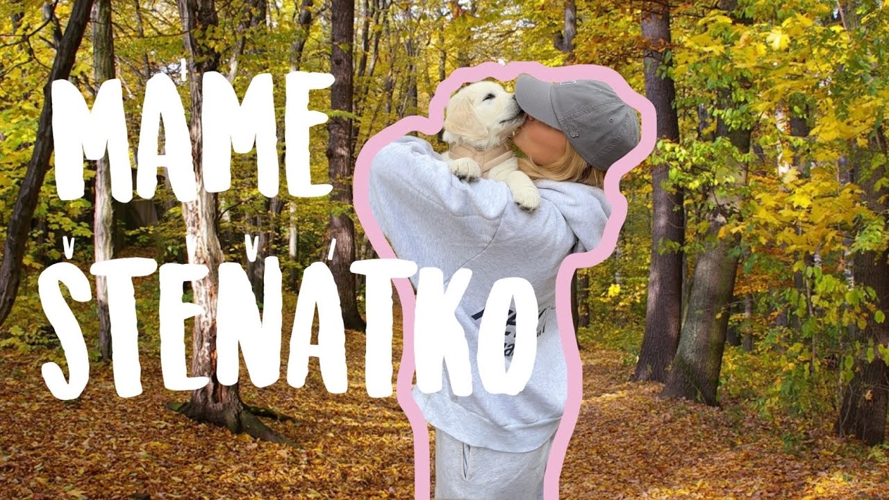 Vysněné štěňátko 🐶🩵