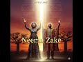 Neema Zake Afrotanzi Official Audio Neema Zake Afrotanzi Official Audio
