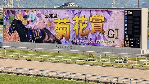 菊花賞2024