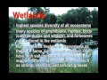 Aquatic Ecosystems Quiz
