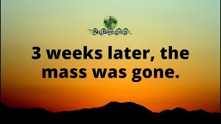 Hillary - Mystery Mass