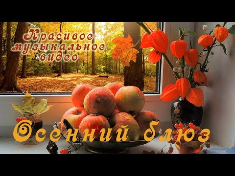Осенний блюз Красивое музыкальное видео