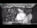 Luxury Self catering holiday cottage sleeps 10 with resident barn owls