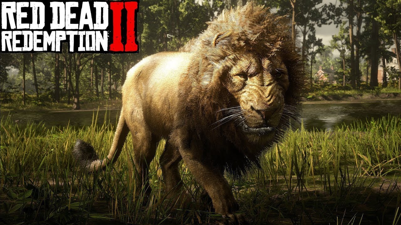 Legendary animal. Red Dead Redemption 2 Lion. Лайон Кантри сафари Лев Фрейзер. Игровой автомат 2. the Lion. Охота на Льва сказка.