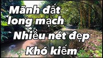 Định cư nước ngoài bán gấp nhà vườn cây trái vew suối đẹp như mơ ở xà bang châu đức bà rịa vũng tàu