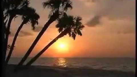 ماهر المعيقلي  سورة التحريم  رائعه وخاشعه للغايه   YouTube
