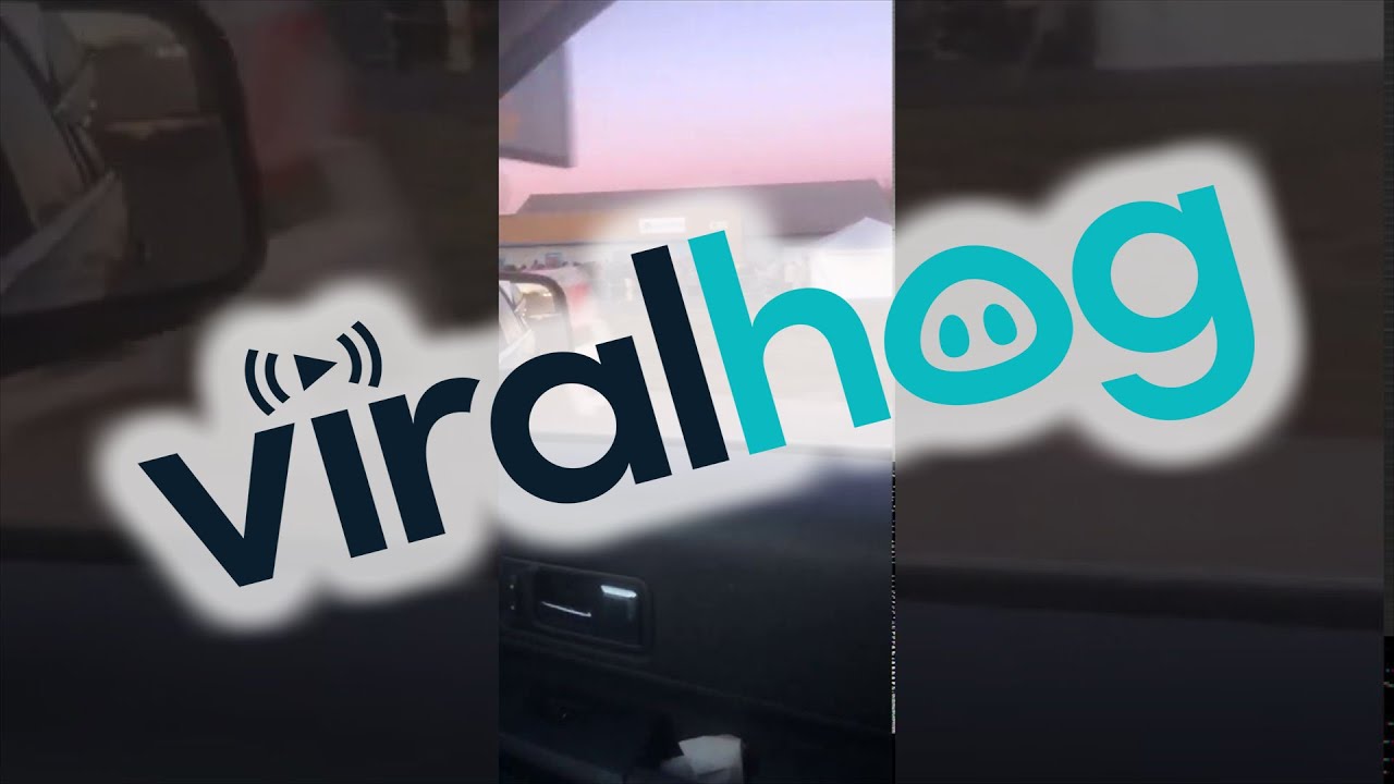 Legalization in Illinois Leads to Long Line || ViralHog