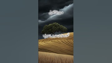 سورة الفيل #القرآن #اكسبلور #القرآن_الكريم #ترند