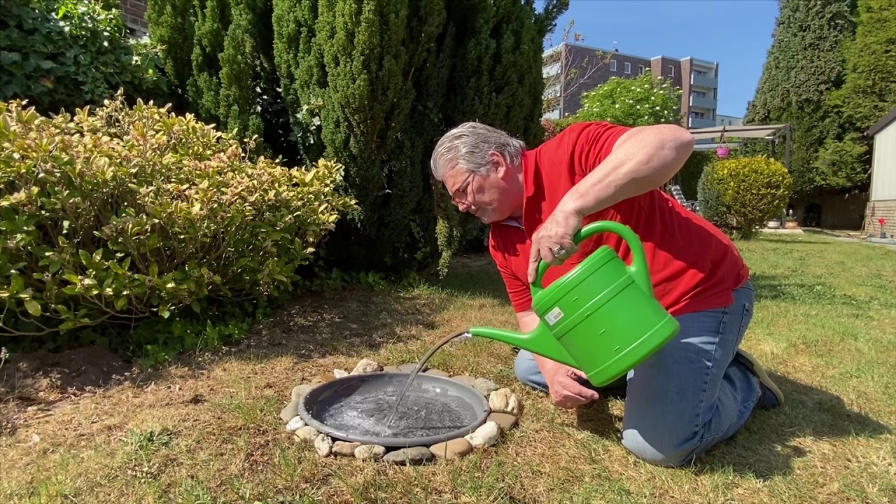 Mein Freund hat sich einen Gartenteich gebaut, was nun ? YouTube