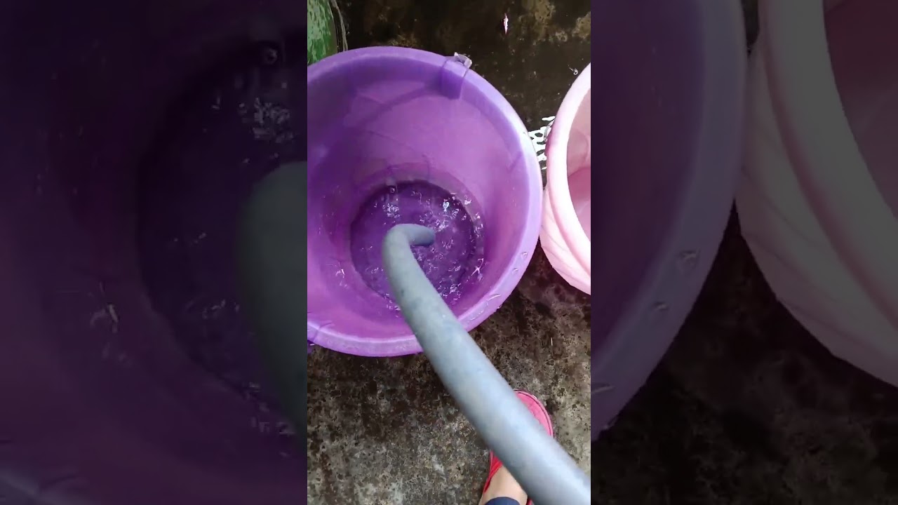 Soma's vlogs 😍💓