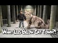 What Lies Below Cat Town? thumbnail